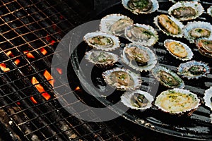 Tray with lapas on a grill photo