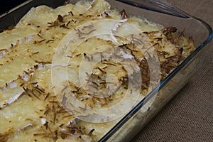 Tray with lasagna fresh from the oven