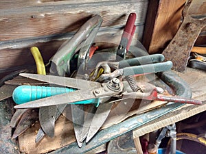 Tray of Old Garden Tools in a Wooden Shed