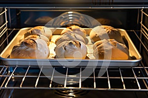 tray in an oven with rising bread loaves