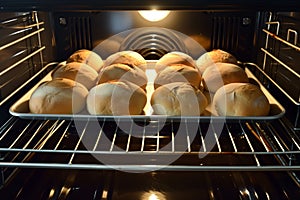 tray in an oven with rising bread loaves