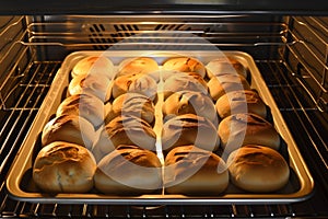 tray in an oven with rising bread loaves