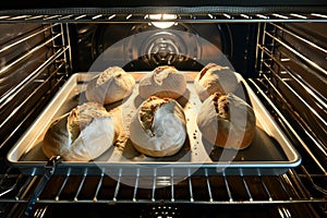 tray in an oven with rising bread loaves