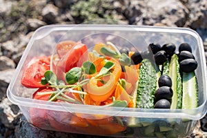 A tray of vegetables in nature, chopped tomatoes, cucumbers, orange bell peppers, sunflower microgreens. The concept of healthy,