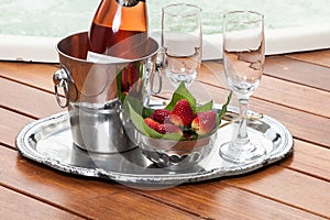 Tray with wine bottle, wine glasses
