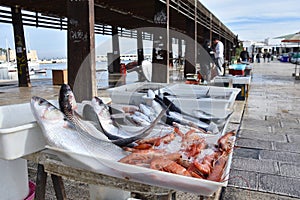 Trays with fish and shrimps on the fish market of Bari, Italy