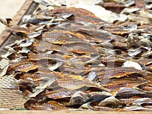 trays with scaled fish in the process of drying in the sun and in the air, typical of the town of NazarÃ© photo