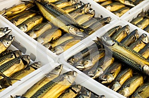 Trays with smoked mackerel scomber in market