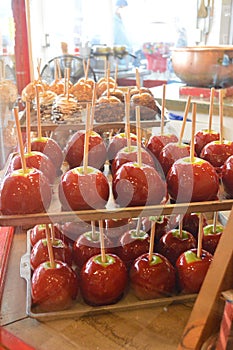Trays and trays of candy apples