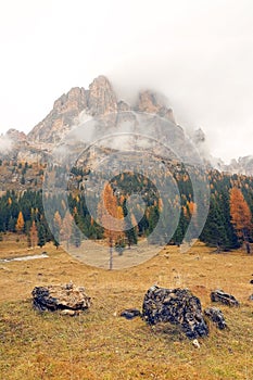 Tre Cime di Lavaredo seen from the famous  Ã¢â¬ÅThree Peaks ViewÃ¢â¬ÂÃÂÃâÃÂ situated near Lago di Landro. photo