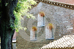 Tre Fontane Abbey in Rome