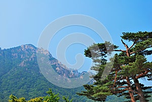 Treacherous mountain cliffs