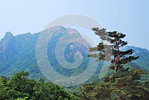 Treacherous mountain cliffs