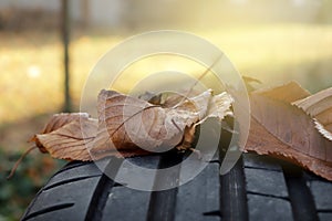 tread of high performance car tire with autumn leaves in bright sunny light- car tuning and maintenance concept