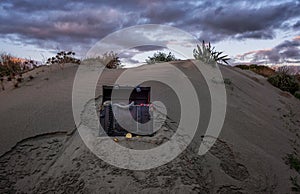 Tesoro pecho sobre el Playa en amanecer 