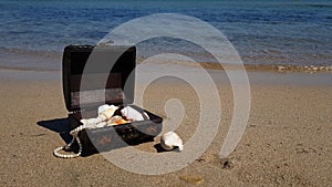 a treasure chest on a sandy beach.treasure with seashells and jewels found in the sea