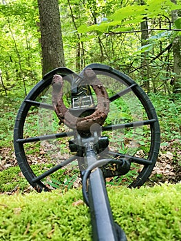 Treasure hunt in old forest