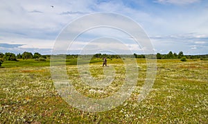 Treasure hunter in the field with a metal detector