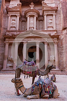 Treasury ancient architecture with camels in valley in Petra, Jordan