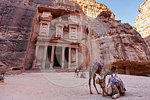 Treasury ancient architecture with camels in valley in Petra, Jordan