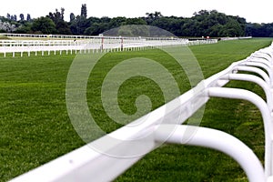 Treated green grass ready for gallop racing on the racing weekend