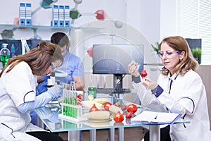 Treatment study on genetically engineered strawberries in laboratory by group of scientist