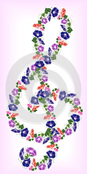 Treble clef bindweed bouquet climbing wavy bells, convolvulus