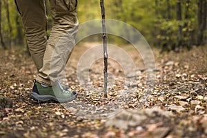 Trecking in the autumn forest