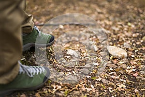 Trecking in the autumn forest photo