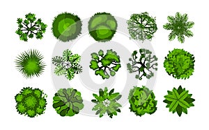 Tree from above. Top view of bushes for architectural and landscape planning, park and forest aerial map elements, green photo