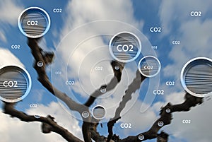 tree absorbing carbon dioxide concept photo