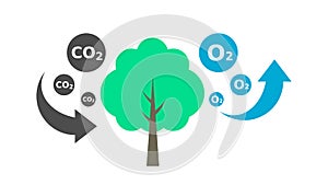 Tree absorbs CO2 and releases O2. Carbon cycle. Photosynthesis process diagram.