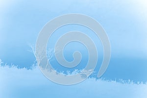 Tree abstract background