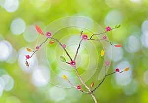 Tree with Abstract Bokeh of green color background .