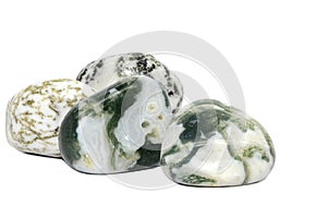 Tree Agate gemstone