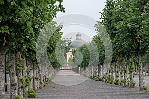 Tree alley at Drottningholm Royal Domains