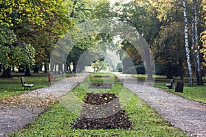 Tree alley and footpath with benches in the autumn park