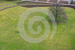 Tree Alone Grassy Field Park Outdoors Green Plain Aerial View Ab