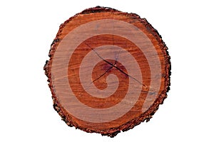 Tree annual ring circle wood (Die cutting)