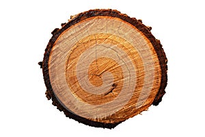 Tree annual ring (Die cutting)