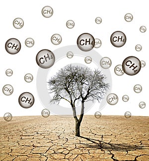 Tree in the arid landscape with bubble with CH4 text isolated on white background. Global warming or change climate concept. photo