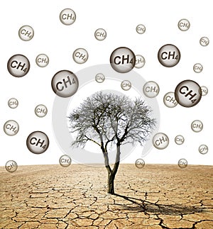 Tree in the arid landscape with bubble with CH4 text isolated on white background. Global warming or change climate concept.