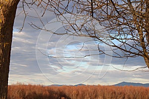 autumn sky tree mountain