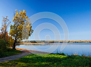 A tree with autumn, yellow foliage on the background of a blue lake