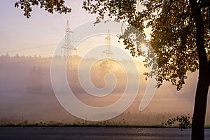 A tree with autumn yellow leaves and an asphalt road against the backdrop of the rising sun and a high-voltage line.