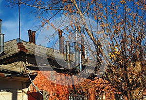 Tree with bare branches on the background of an old historical house with red walls and a lot of chimneys on the roof.