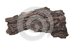 Tree bark isolated on white background