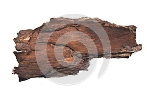 Tree bark isolated on white background