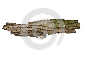 Tree bark isolated on white background