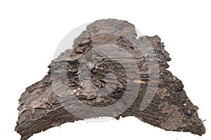 Tree bark isolated on white background